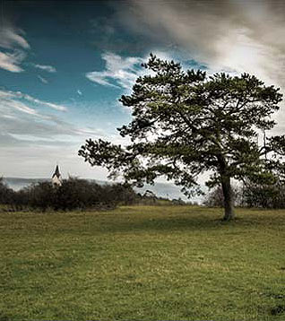 natur-oberfranken.jpg